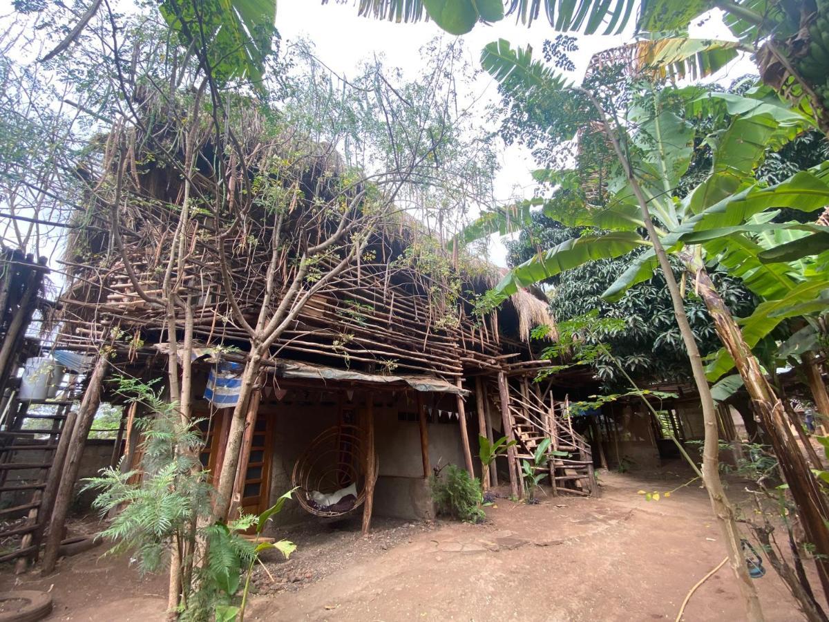 Hostel Mountain Bikes House Moshi Exterior foto