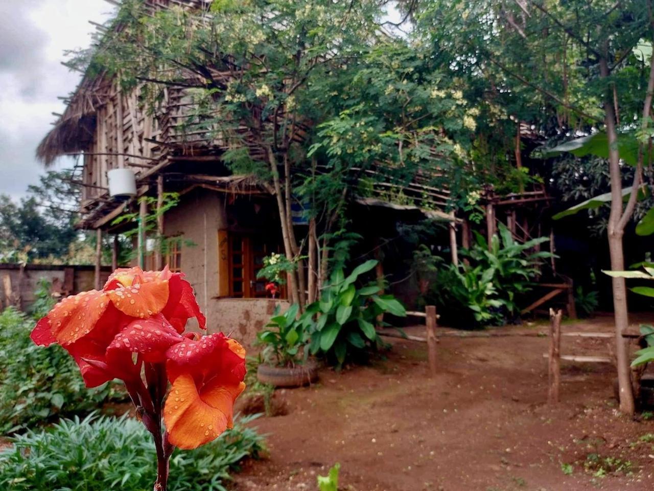 Hostel Mountain Bikes House Moshi Exterior foto